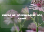 足球竞彩比赛比分结果足球竞彩比赛比分结果的重要性