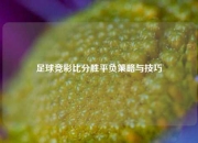 足球竞彩比分胜平负策略与技巧