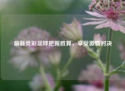 最新竞彩足球把握胜算，享受激情对决