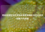 竞彩足球比分过关投注竞彩足球比分过关投注的魅力与风险