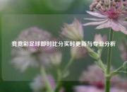 竞竞彩足球即时比分实时更新与专业分析