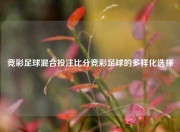 竞彩足球混合投注比分竞彩足球的多样化选择