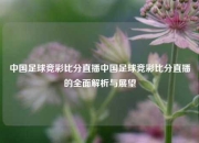 中国足球竞彩比分直播中国足球竞彩比分直播的全面解析与展望