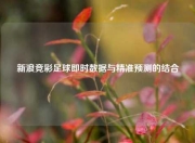 新浪竞彩足球即时数据与精准预测的结合