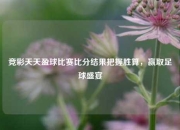 竞彩天天盈球比赛比分结果把握胜算，赢取足球盛宴