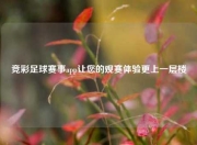 竞彩足球赛事app让您的观赛体验更上一层楼