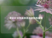 竞彩比分网易体育迷的在线盛宴