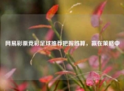 网易彩票竞彩足球推荐把握胜算，赢在策略中