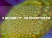 竞彩足球直播比分一场视觉与数据的双重盛宴