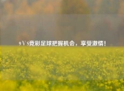9ⅤS竞彩足球把握机会，享受激情！