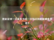 竞彩足球一注赢多少钱一注投注到底能赚多少钱？