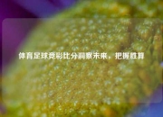 体育足球竞彩比分洞察未来，把握胜算