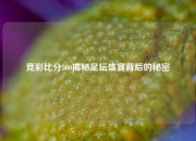 竞彩比分500揭秘足坛盛宴背后的秘密
