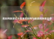 竞彩网新浪比分直播竞彩网与新浪的深度合作