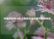 中国竞彩网360比分揭秘足球比赛的预测神器