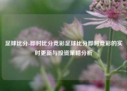 足球比分-即时比分竞彩足球比分即时竞彩的实时更新与投资策略分析