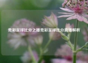 竞彩足球比分之播竞彩足球比分直播解析
