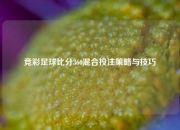 竞彩足球比分360混合投注策略与技巧