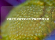 足球比分足球竞彩比分把握胜负的关键