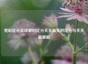 竞彩比分足球即时比分天天赢实时比分与天天赢策略