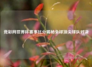 竞彩网世界杯赛事比分揭秘全球顶尖球队对决