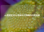 nba竞彩比分NBA竞彩比分预测与分析指南