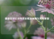 捷报足球比分网竞彩精准预测与实时更新