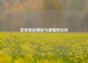 足球竞彩博彩与激情的交织