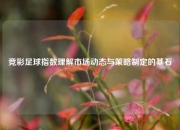 竞彩足球指数理解市场动态与策略制定的基石