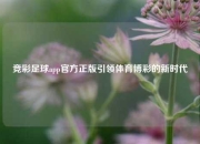 竞彩足球app官方正版引领体育博彩的新时代
