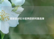 竞彩足球比分官网您的可靠选择