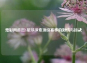 竞彩网首页5足球探索顶级赛事的激情与挑战