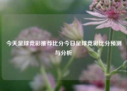 今天足球竞彩推荐比分今日足球竞彩比分预测与分析