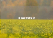 竞彩篮球购买量