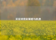 买足球竞彩策略与机遇