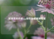 足球竞彩分析app你的智能预测专家