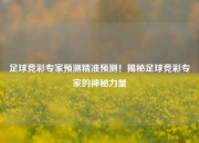 足球竞彩专家预测精准预测！揭秘足球竞彩专家的神秘力量