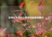 足球比分竞彩计算器你的赢利助手