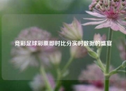 竞彩足球彩票即时比分实时数据的盛宴