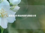 竞彩足球3精准预测与策略分享