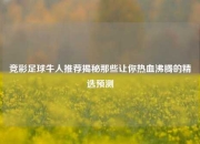 竞彩足球牛人推荐揭秘那些让你热血沸腾的精选预测