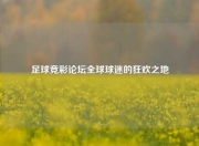 足球竞彩论坛全球球迷的狂欢之地