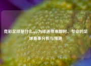 竞彩足球是什么app为球迷带来即时、专业的足球赛事分析与预测