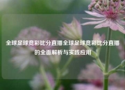 全球足球竞彩比分直播全球足球竞彩比分直播的全面解析与实践应用