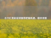 小刀汇竞彩足球推荐把握机遇，稳中求胜