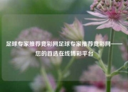 足球专家推荐竞彩网足球专家推荐竞彩网——您的首选在线博彩平台
