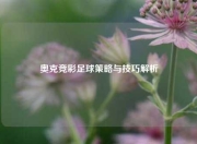 奥克竞彩足球策略与技巧解析
