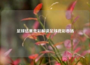 足球结果竞彩解读足球竞彩市场
