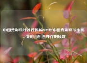 中国竞彩足球推荐揭秘2023年中国竞彩足球市场，策略与机遇并存的领域