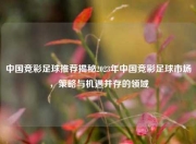 中国竞彩足球推荐揭秘2023年中国竞彩足球市场，策略与机遇并存的领域